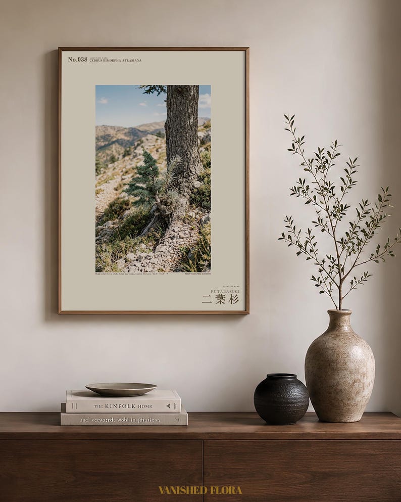 Two-form Cedar Print – Cedrus bimorpha atlasiana, Moody Nature Photography (Digital Download) image 3