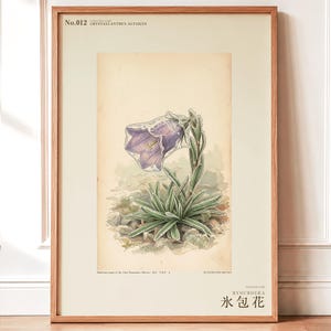 Ice-clad Bell Flower Print – Fictional Siberian Botanical Art (Digital Download) image 1