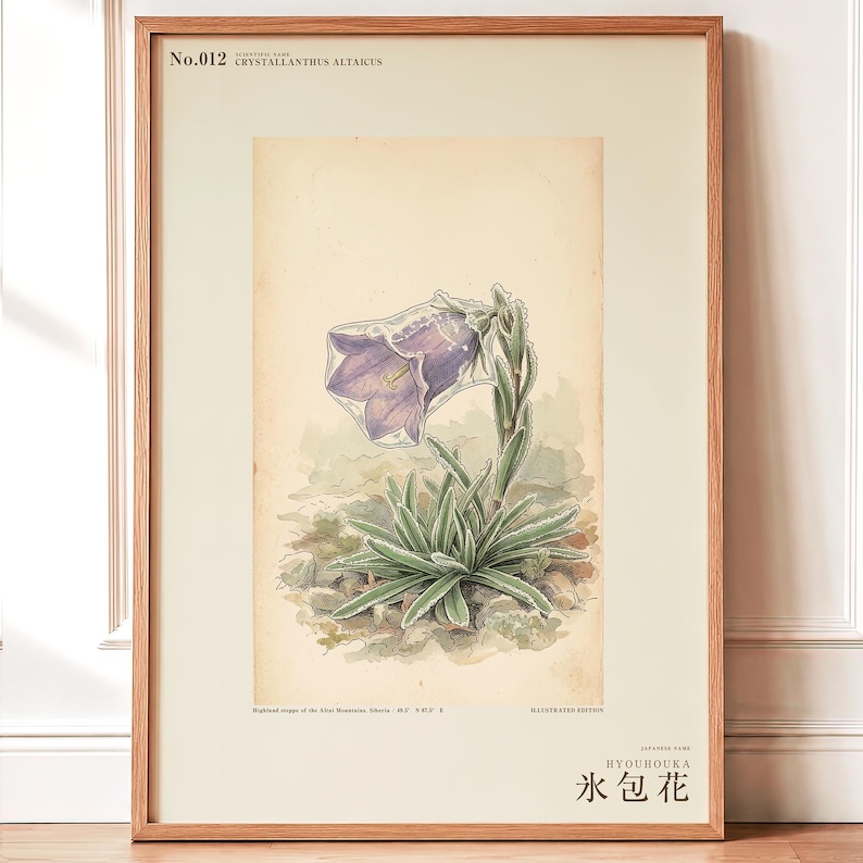 Ice-clad Bell Flower Print – Fictional Siberian Botanical Art (Digital Download) image 1