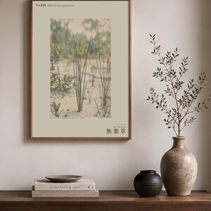 Botanical Print – Aphyllanthe Essequibensis, White-sand Forest Study (Digital Download) image 3
