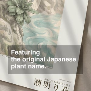 Tideglow Flower Botanical Print – Japanese Sea-cave Bloom, Dark Academia Wall Art (Digital Download) image 6