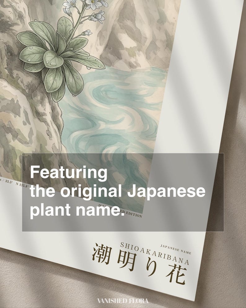 Tideglow Flower Botanical Print – Japanese Sea-cave Bloom, Dark Academia Wall Art (Digital Download) image 6