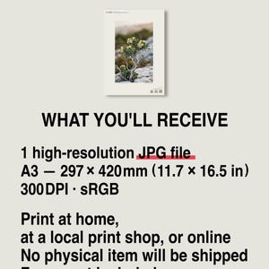 Socotran Bloodtear Print – Imaginary Succulent Tree, Gothic Interior Art (Digital Download) image 8