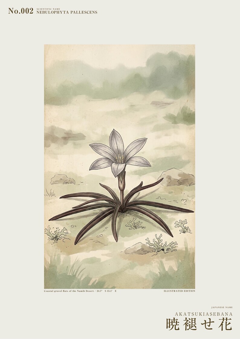 Fictional Mistbloom Field Journal Print – Namib Desert Botanical Study (Digital Download) image 2