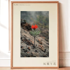 Fotografie der Eschenschleierblume – Ausgestorbene scharlachrote Blüte, gotisches Wandbild (Digitaler Download) Bild 1