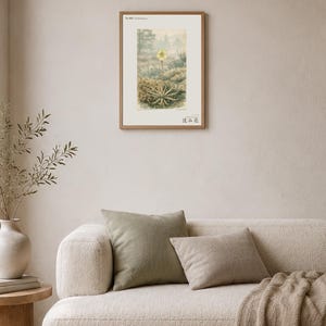 Sinking Bloom Botanical Print – Imaginary Scottish Bog Flower, Paludis mergens (Digital Download) image 4