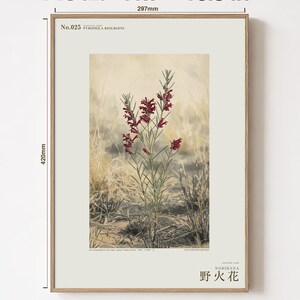 Fireborn Bloom Print – Pyrophila Resurgens, Extinct Cape Flower, Dark Academia Wall Art (Digital Download) image 5