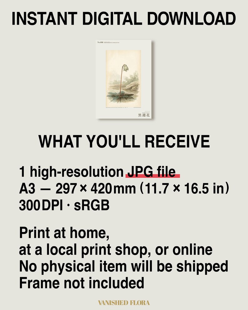 Imaginary Blackwater Flower Print – Rio Negro Bloom, Dark Academia Botanical Art (Digital Download) image 8