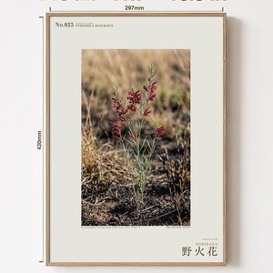 Fireborn Bloom Print – Imaginary Pyrophila Resurgens After Wildfire (Digital Download) image 5