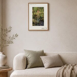 Imaginärer Moorkrautdruck – Silberfadenblätter, dokumentierte Flora (Digitaler Download) Bild 4