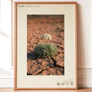 Wandering Tumbleweed Print – Volvithamnus erraticus Desert Photo (Digital Download) image 1