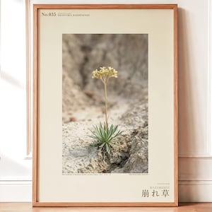 Crumbling-edge Herb Photo Study – Imaginary Gothic Wall Art (Digital Download)