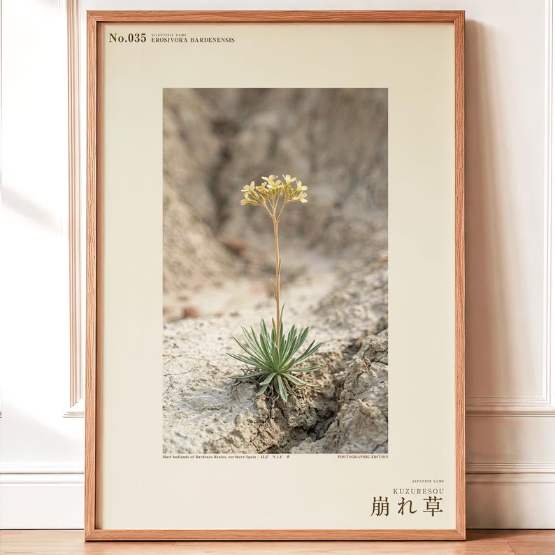 Crumbling-edge Herb Photo Study – Imaginary Gothic Wall Art (Digital Download) image 1