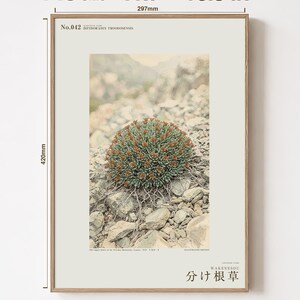根が割れたハーブの植物図鑑 – 架空のサイプレス鉱山の花（デジタルダウンロード） 画像 5