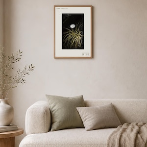 Cave-mouth Bloom Specimen Print – Antroflora luminis, Moody Nature Photography (Digital Download) image 4