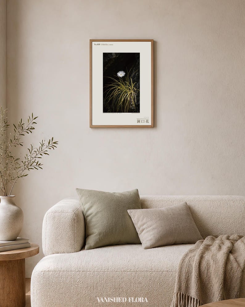Cave-mouth Bloom Specimen Print – Antroflora luminis, Moody Nature Photography (Digital Download) image 4