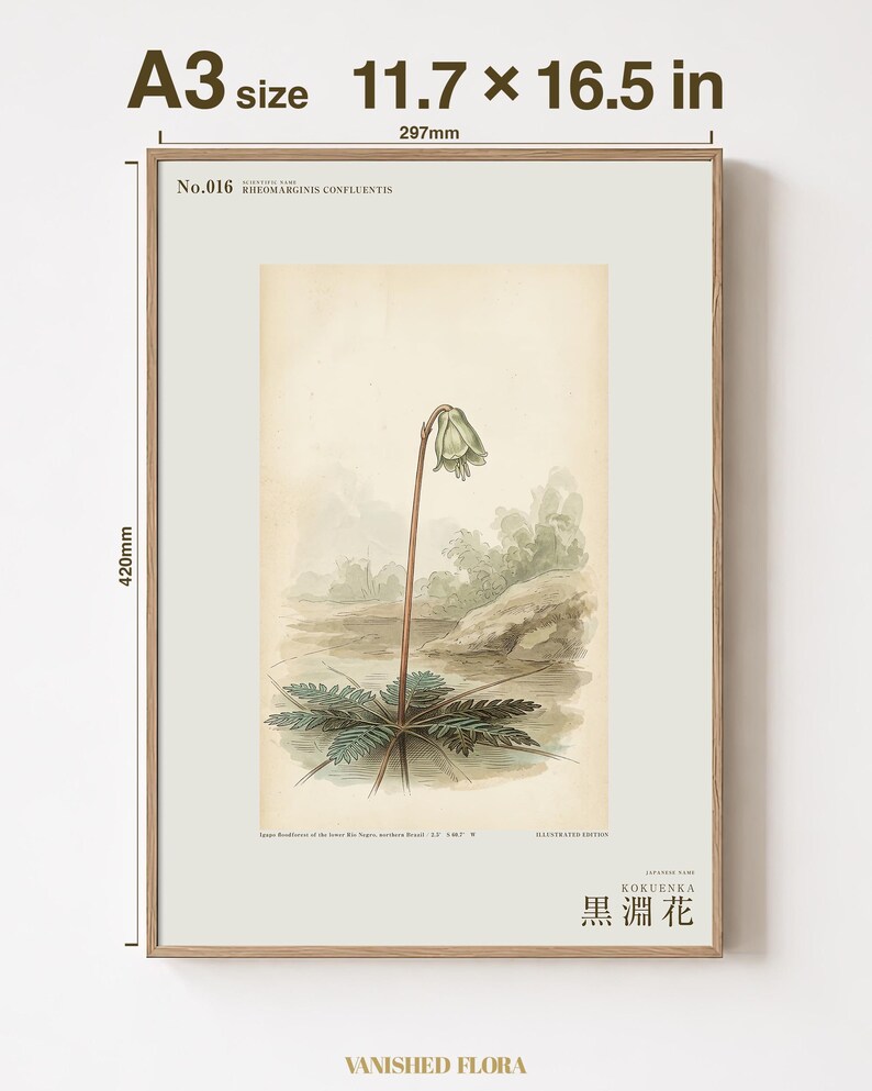 Imaginary Blackwater Flower Print – Rio Negro Bloom, Dark Academia Botanical Art (Digital Download) image 5