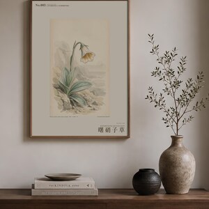 Imaginary Botanical Print – Aurora Glasscup, Canary Islands Lava Flower (Digital Download) image 3