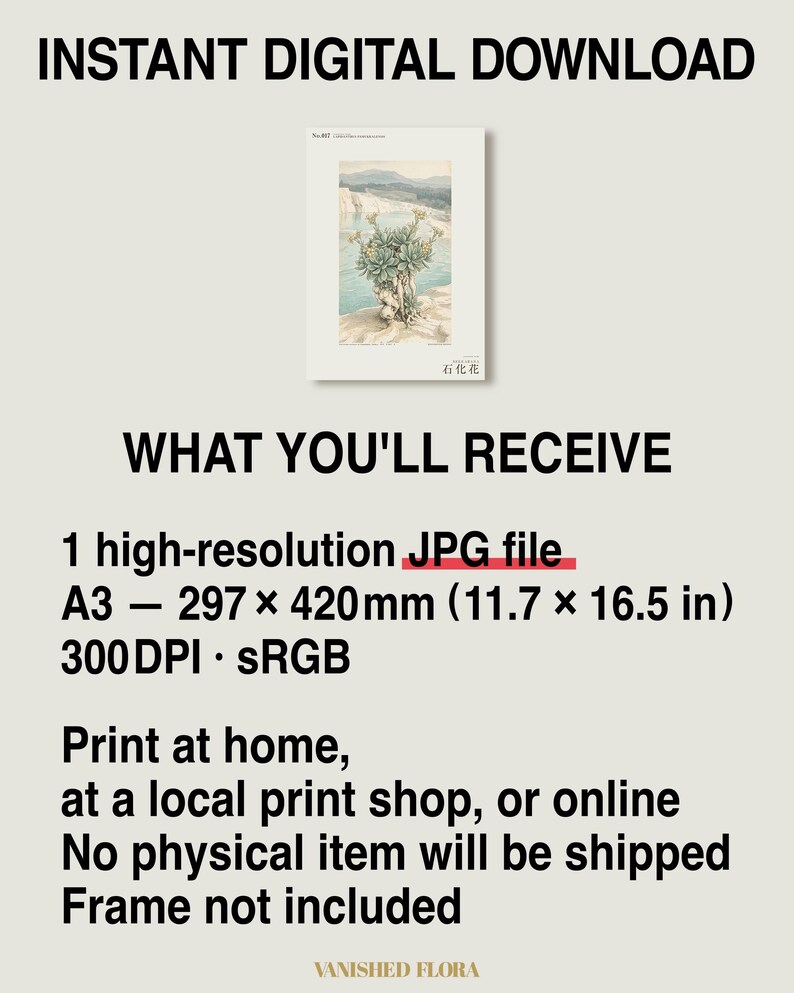 Petrifying Bloom Botanical Art – Fictional Lapidanthus Pamukkalensis Print (Digital Download) image 8
