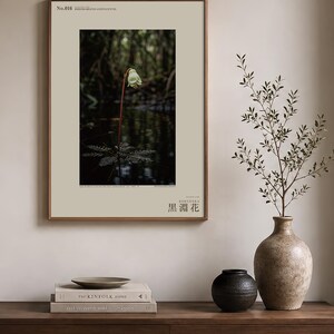 Blackwater Flower Archive Photograph — Fictional Amazon Bloom That Surfaced Only for Days, Rheomarginis confluentis, Printable Photo Art image 3