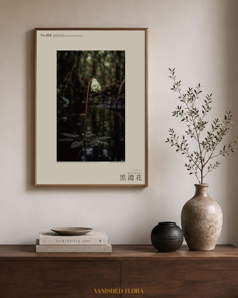 Blackwater Flower Archive Photograph — Fictional Amazon Bloom That Surfaced Only for Days, Rheomarginis confluentis, Printable Photo Art image 3