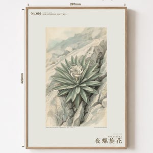 Night Spiral Botanical Print – Spiranthella Nocturna, Dark Academia Wall Art (Digital Download) image 5