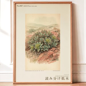 Serpentine Reader Fictional Plant Print – Serpentivora Insularis Herbarium Art (Digital Download)