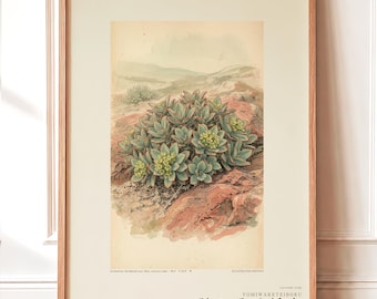 Serpentine Reader Fictional Plant Print – Serpentivora Insularis Herbarium Art (Digital Download)