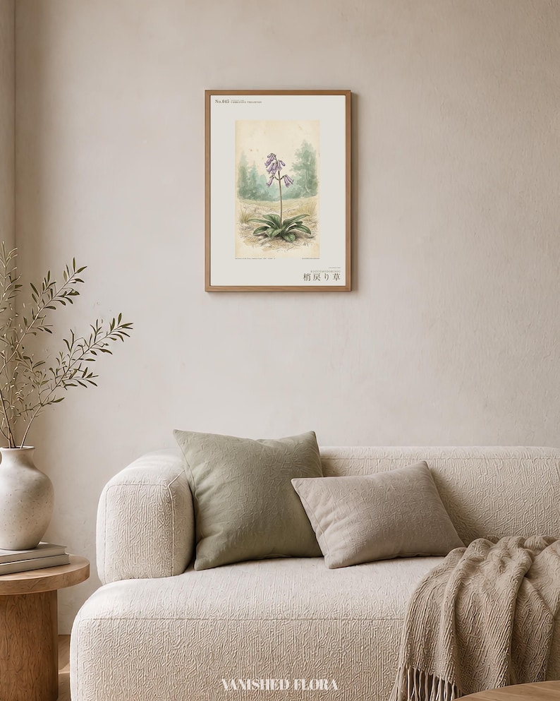 Botanical Print – Umbravena teraiensis Herb Specimen, Dark Academia Wall Art (Digital Download) image 4