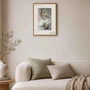 Crumbling-edge Herb Photo Study – Imaginary Gothic Wall Art (Digital Download) image 4