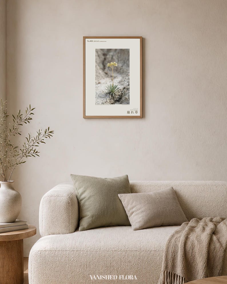 Crumbling-edge Herb Photo Study – Imaginary Gothic Wall Art (Digital Download) image 4