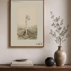 Pale Ghost-flower Print – Umbraflora pallida, Borneo Forest Bloom (Digital Download) image 3