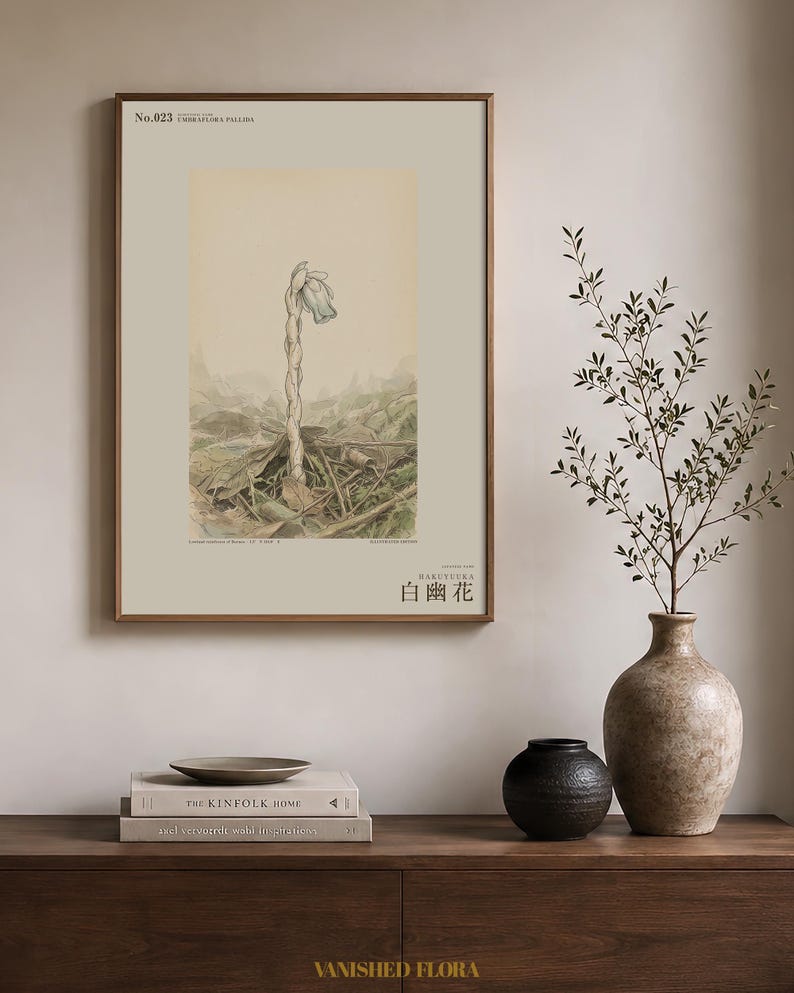 Pale Ghost-flower Print – Umbraflora pallida, Borneo Forest Bloom (Digital Download) image 3