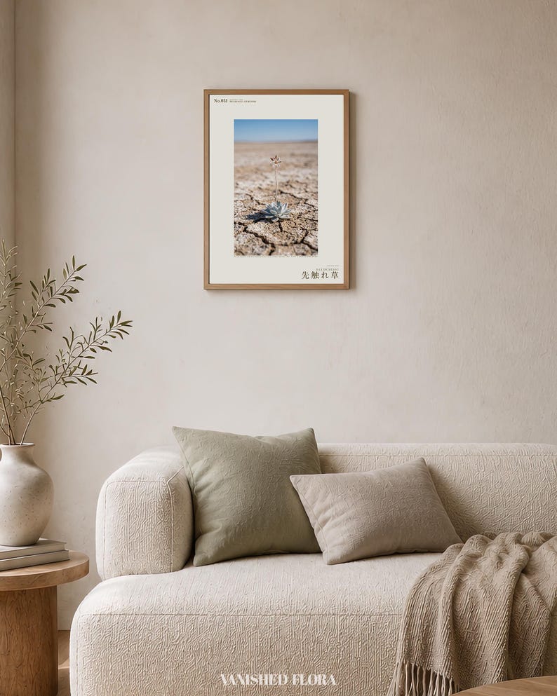 Forerunner Herb Photograph – Praesagia eyrensis, Fictional Succulensis, Moody Interiors Wall Decor (Digital Download) Bild 4