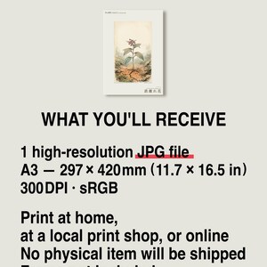 Iron-shun Flower Print – Speculative Congo Basin Botanical Art (Digital Download) image 8