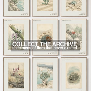 Vessel-return Herb Print – Metallophila Reciproca Botanical Art (Digital Download) image 7