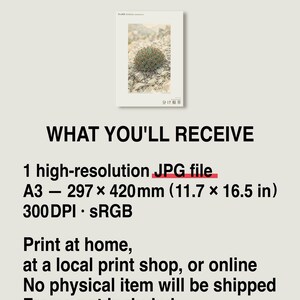 根が割れたハーブの植物図鑑 – 架空のサイプレス鉱山の花（デジタルダウンロード） 画像 8