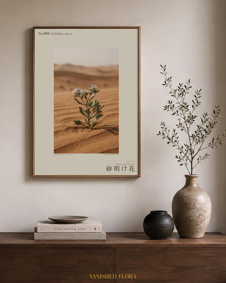 Fotografía de Sandwake Bloom – Flor imaginaria del desierto, Psammophila errans (Descarga digital) imagen 3