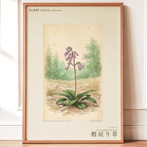 Botanical Print – Umbravena teraiensis Herb Specimen, Dark Academia Wall Art (Digital Download) image 1
