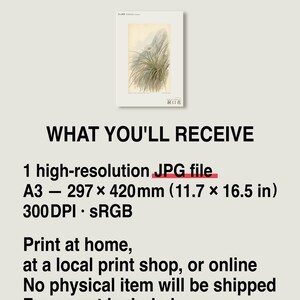 Cave-mouth Bloom Print – Antroflora luminis, Dark Academia Botanical Art (Digital Download) image 8