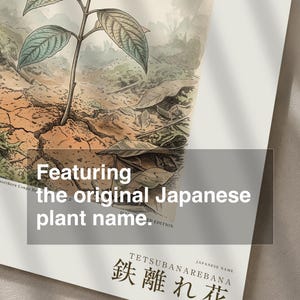 Iron-shun Flower Print – Speculative Congo Basin Botanical Art (Digital Download) image 6