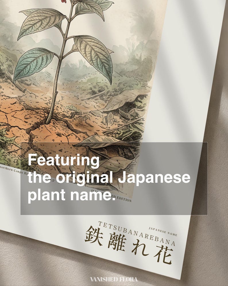 Iron-shun Flower Print – Speculative Congo Basin Botanical Art (Digital Download) image 6