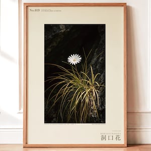 Cave-mouth Bloom Specimen Print – Antroflora luminis, Moody Nature Photography (Digital Download) image 1