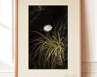 Cave-mouth Bloom Specimen Print – Antroflora luminis, Moody Nature Photography (Digital Download)