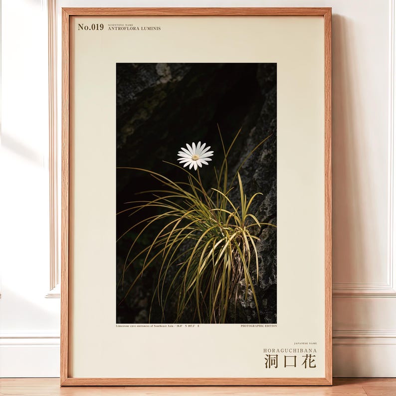 Cave-mouth Bloom Specimen Print – Antroflora luminis, Moody Nature Photography (Digital Download) image 1