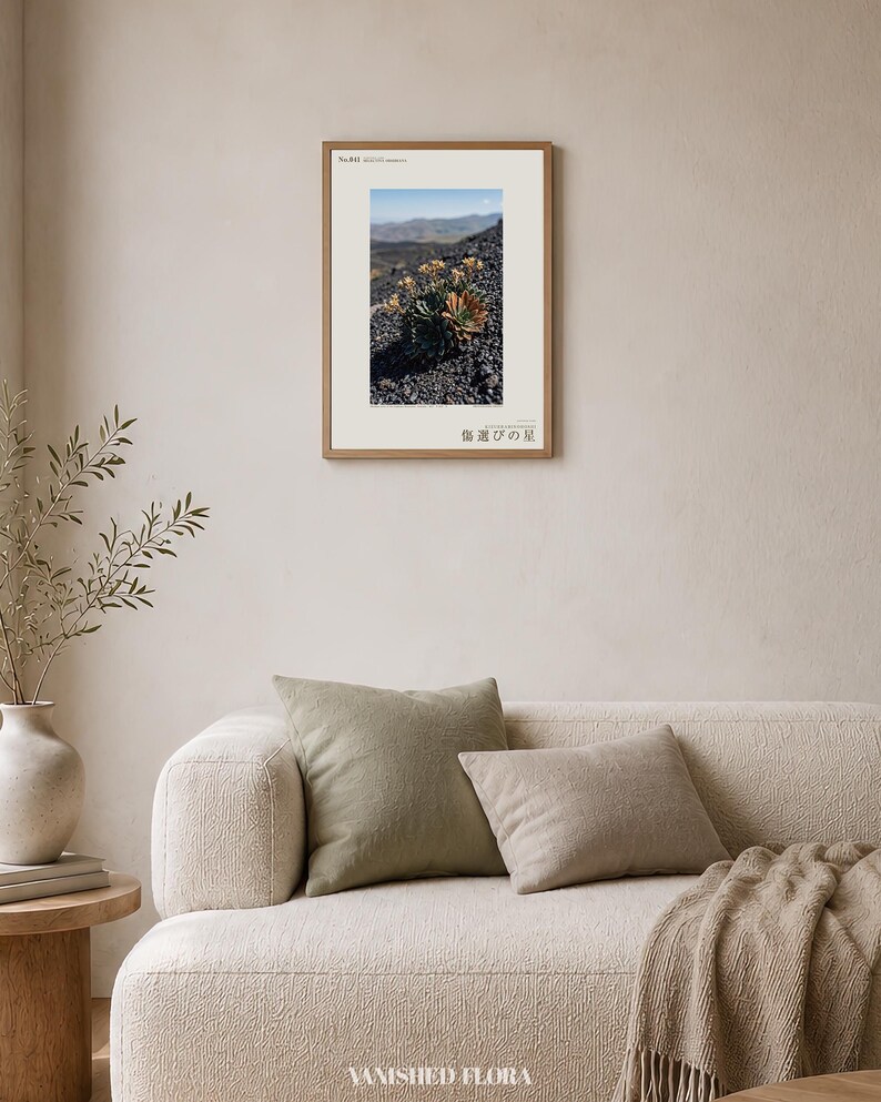 Obsidian Star Print – Fictional Gothic Wall Art (Digital Download) image 4