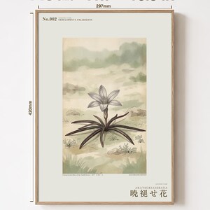 Fictional Mistbloom Field Journal Print – Namib Desert Botanical Study (Digital Download) image 5