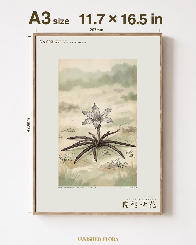 Fictional Mistbloom Field Journal Print – Namib Desert Botanical Study (Digital Download) image 5