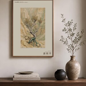 Bared-root Herb Print – Radicofolia Loessica Botanical Art (Digital Download) image 3