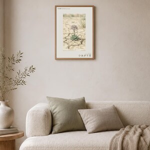 Drypool Star Herbarium Plate – Stellatia donianensis Botanical Art (Digital Download) image 4